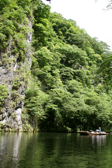 Ichinoseki area landscape with forested mountains and river valley
