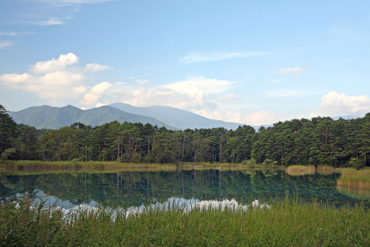The emerald green waters of one of the Goshikinuma ponds in Ura-Bandai, Fukushima