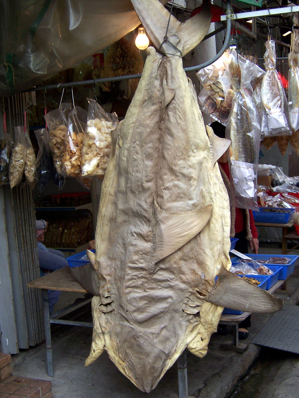 Dried shark products at a traditional fishing village market