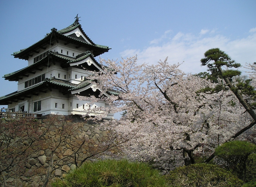 Hirosaki-castle Aomori with Sakura blossoms