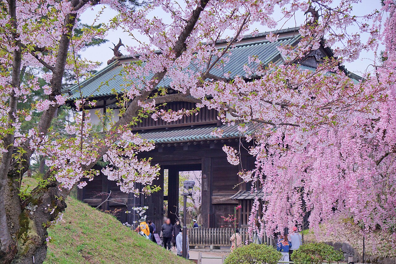 Otemon Gate, Hirosaki Castle with cherry blossom