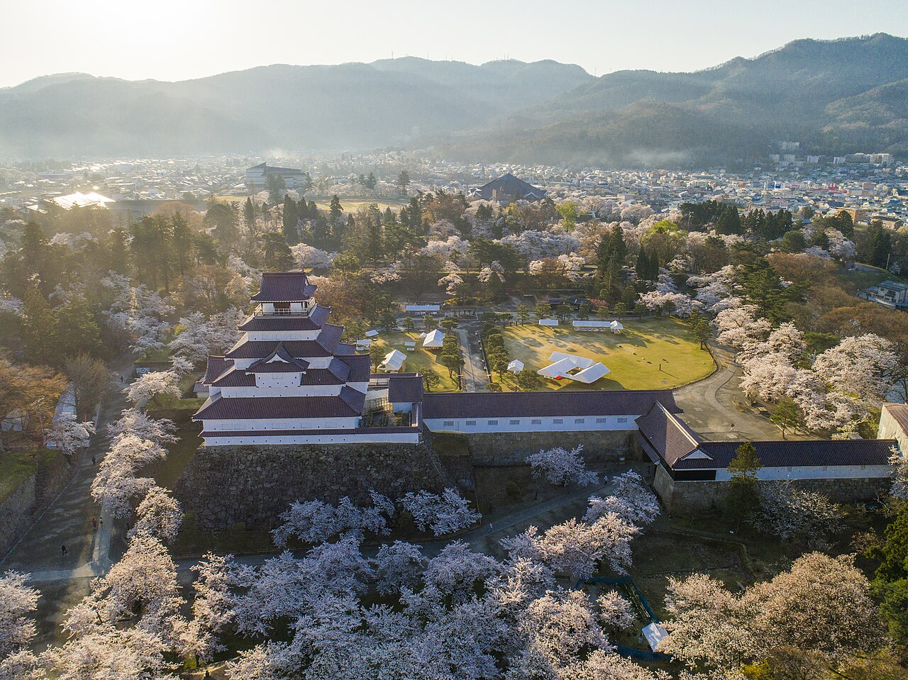Fukushima-Sakura in Tsuruga Castle, Aizuwakamatsu City-m