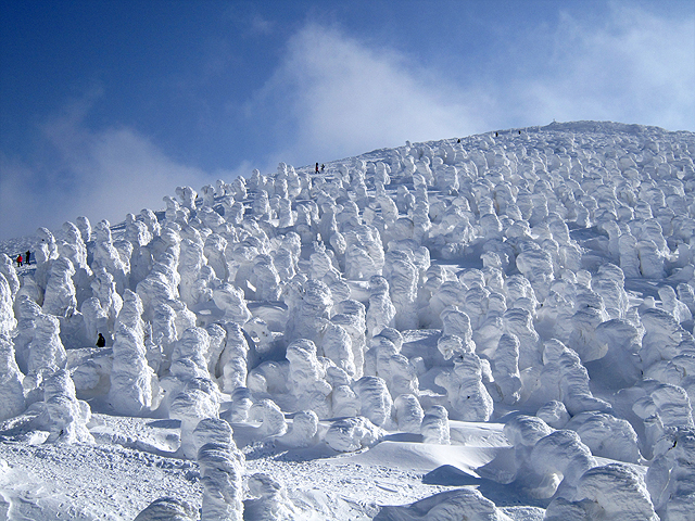 蔵王の樹氷 (Snow Monsters (Soft rime) at Zao) 08 Feb, 2011 - panoramio