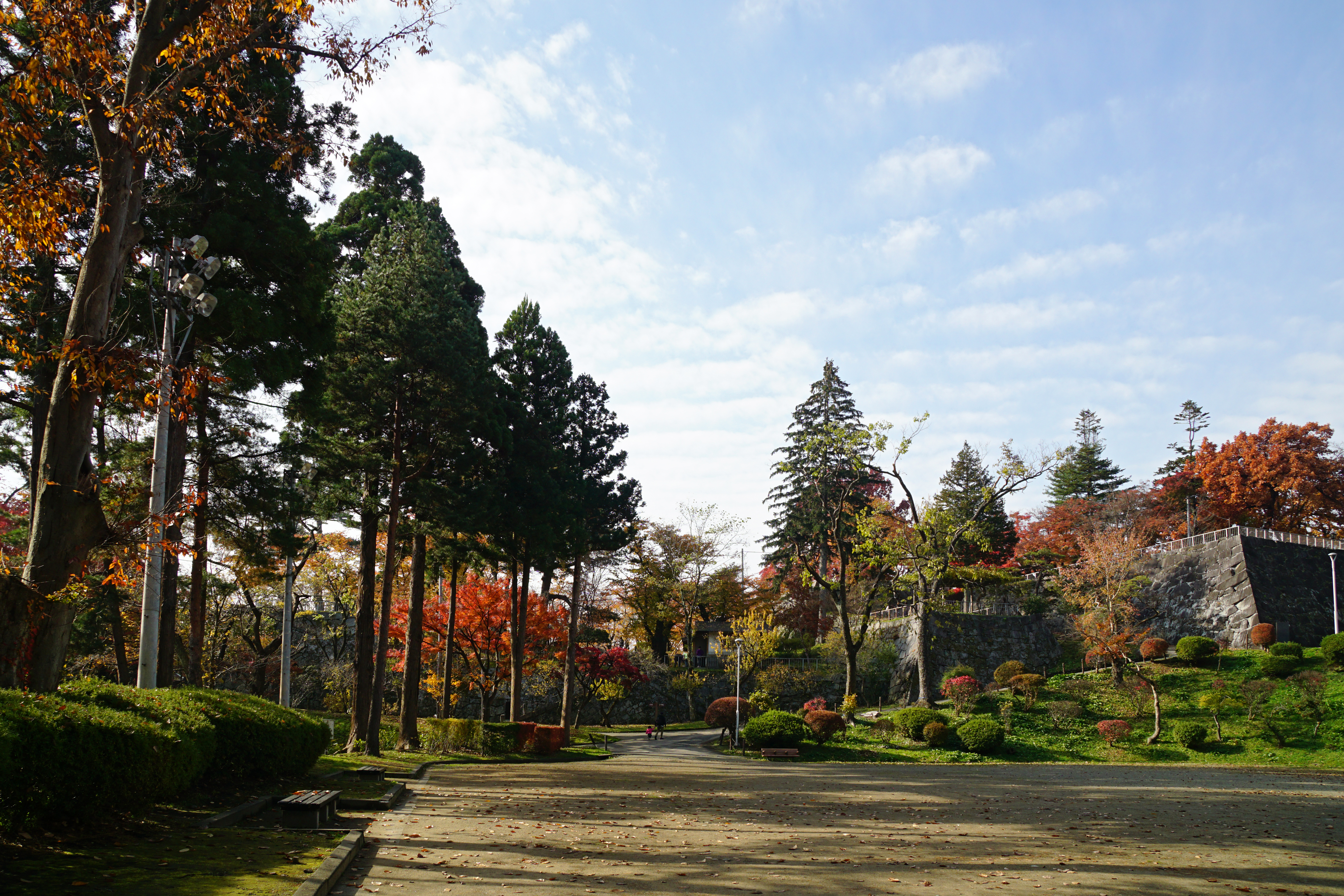 Morioka Castle ruins in Iwate Park, Morioka, surrounded by cherry blossoms