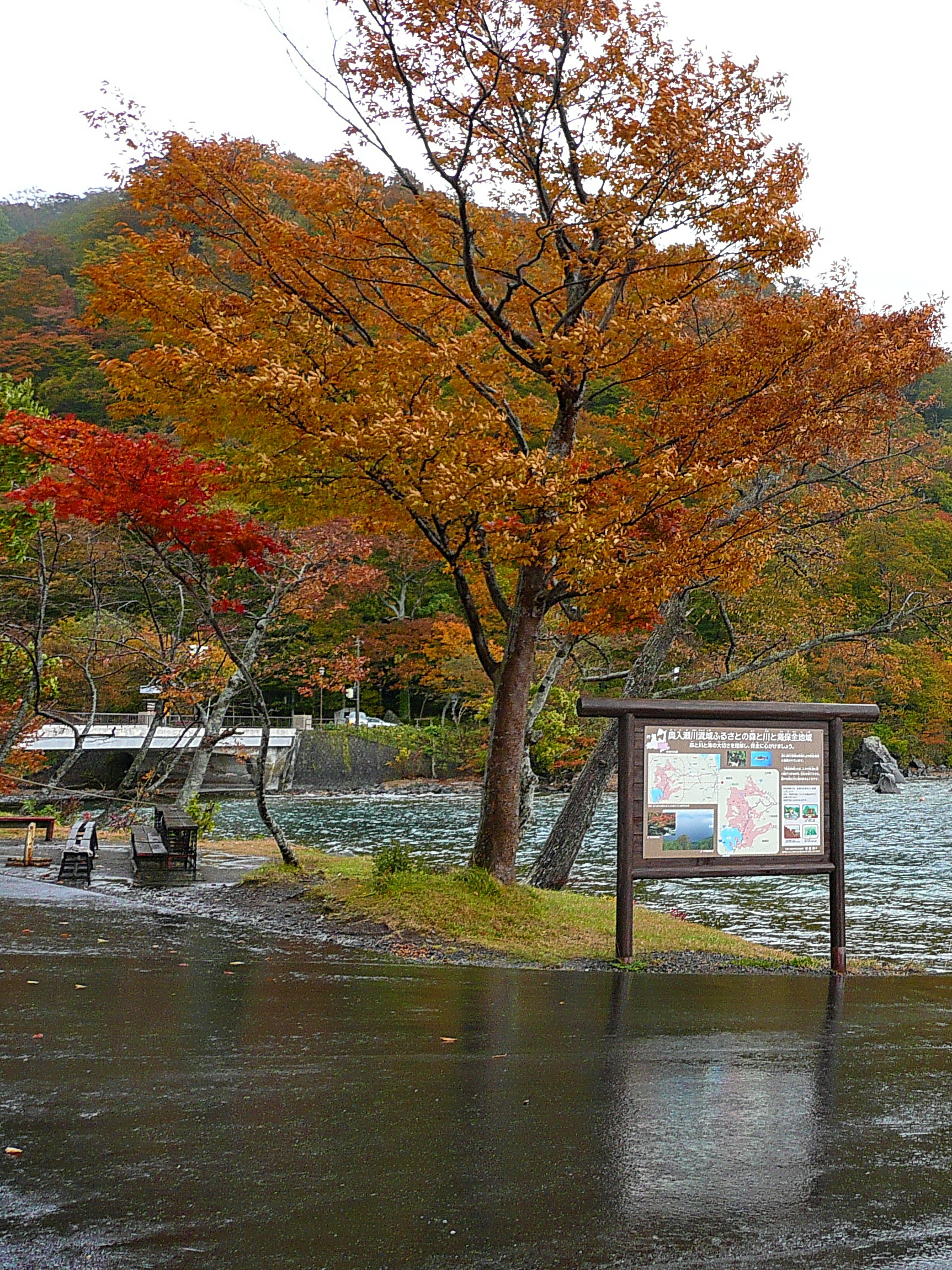 Lake Towada caldera lake surrounded by forested hills in Aomori Prefecture