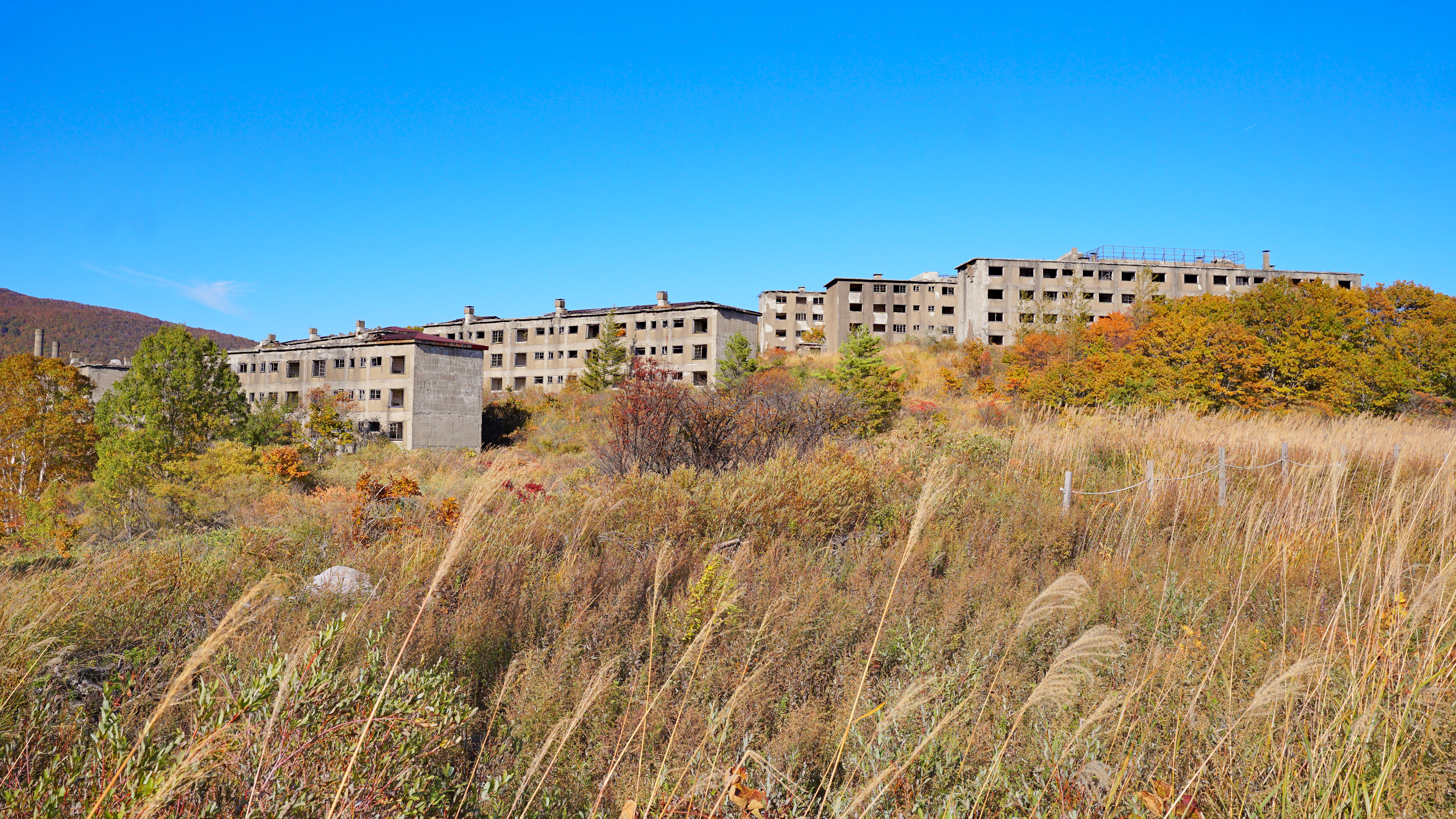Ruins of Matsuo Mine apartment buildings in Iwate Prefecture, Japan, showing concrete blocks reclaimed by mountain vegetation
