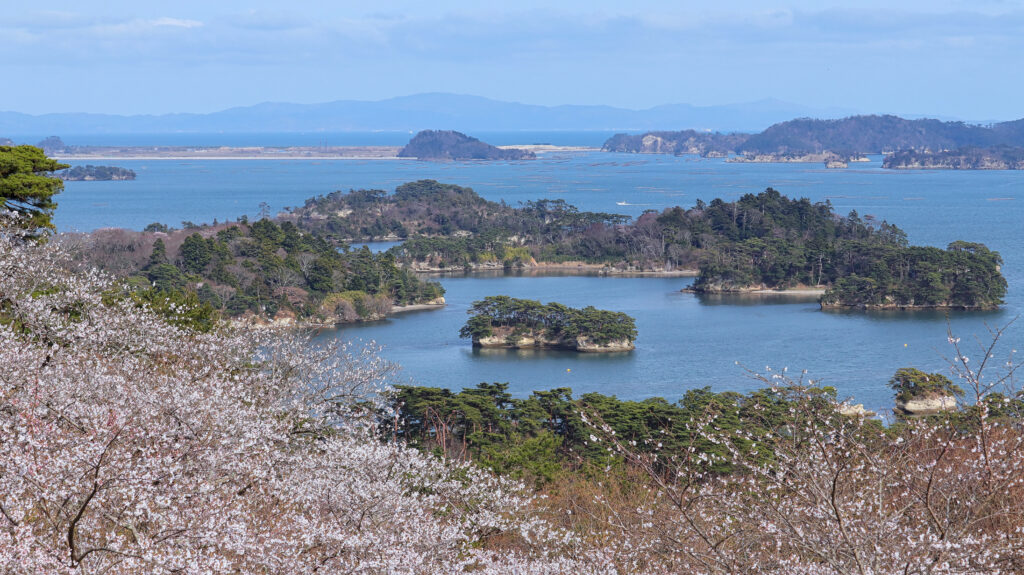 Matsushima Bay with cherry blossoms and pine islands, Miyagi