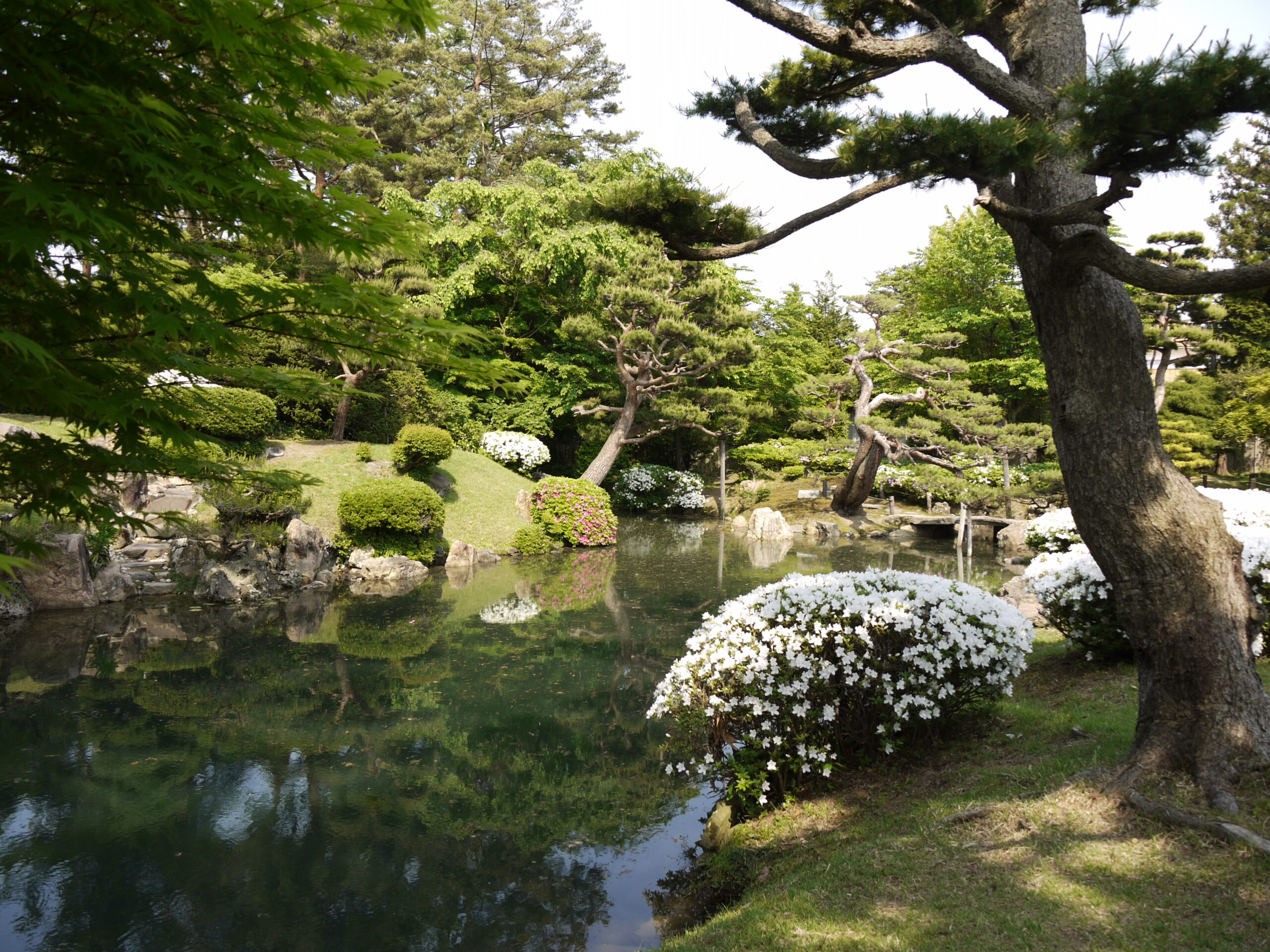 Traditional Japanese garden at the Chido Museum, Tsuruoka, near Sakata