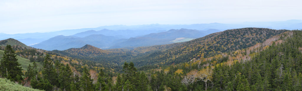 Panoramic view of Hachimantai plateau in autumn with the volcanic highland stretching to the horizon in fall colors