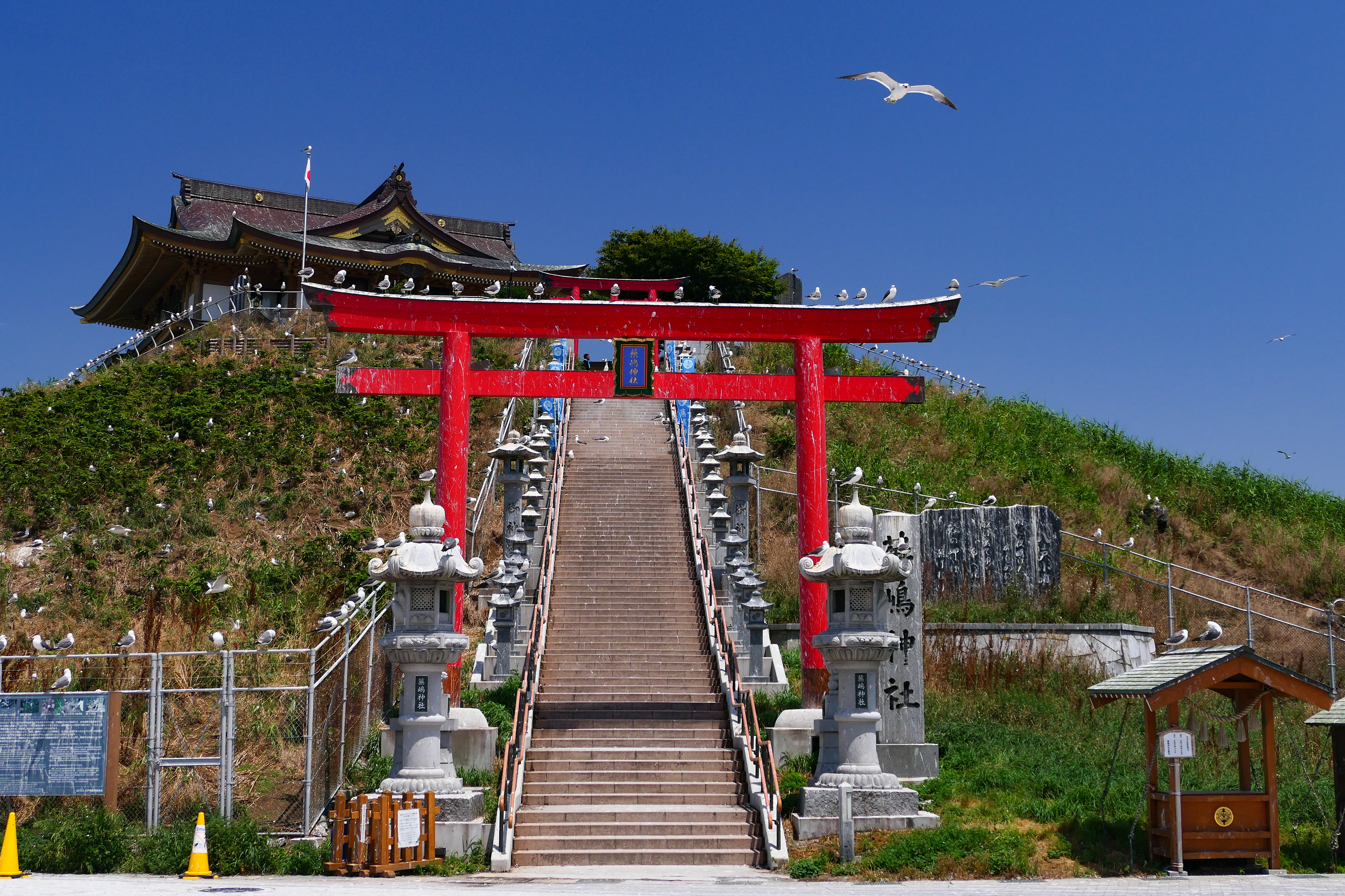Kabushima Shrine surrounded by nesting gulls