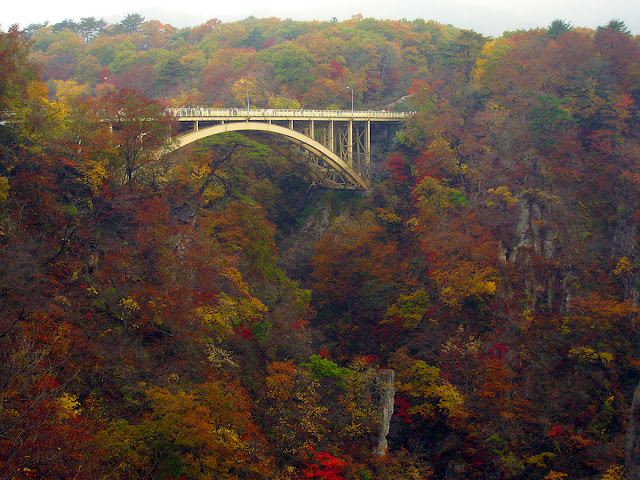 Naruko Gorge brilliant autumn foliage colors