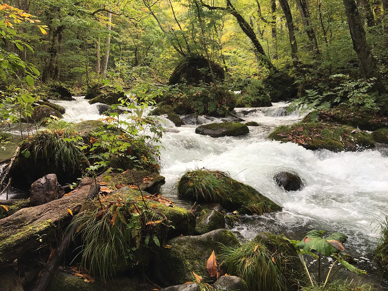 Oirase Gorge stream flowing through lush forest in Towada-Hachimantai National Park, Aomori