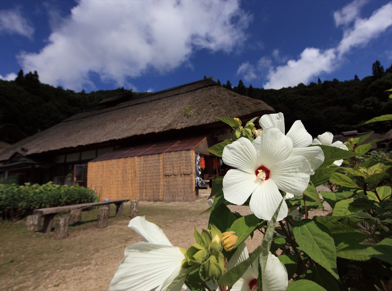 Ouchi-juku village street lined with traditional thatched buildings in autumn