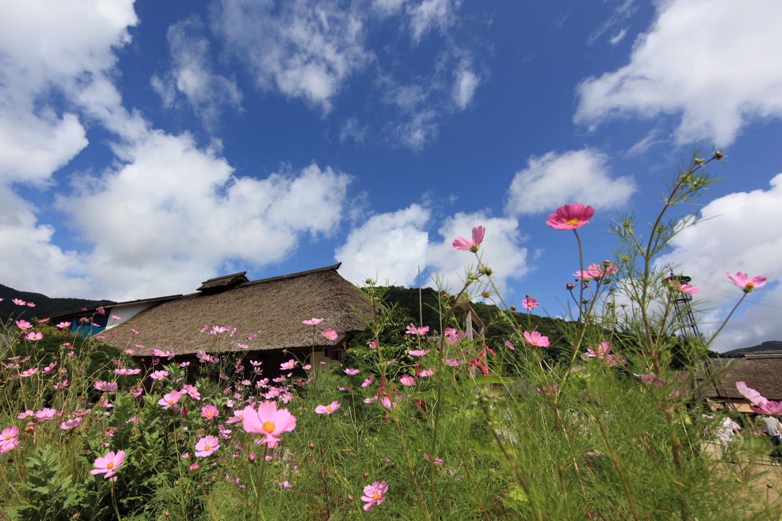 Details of traditional Ouchi-juku buildings and street in Fukushima Japan