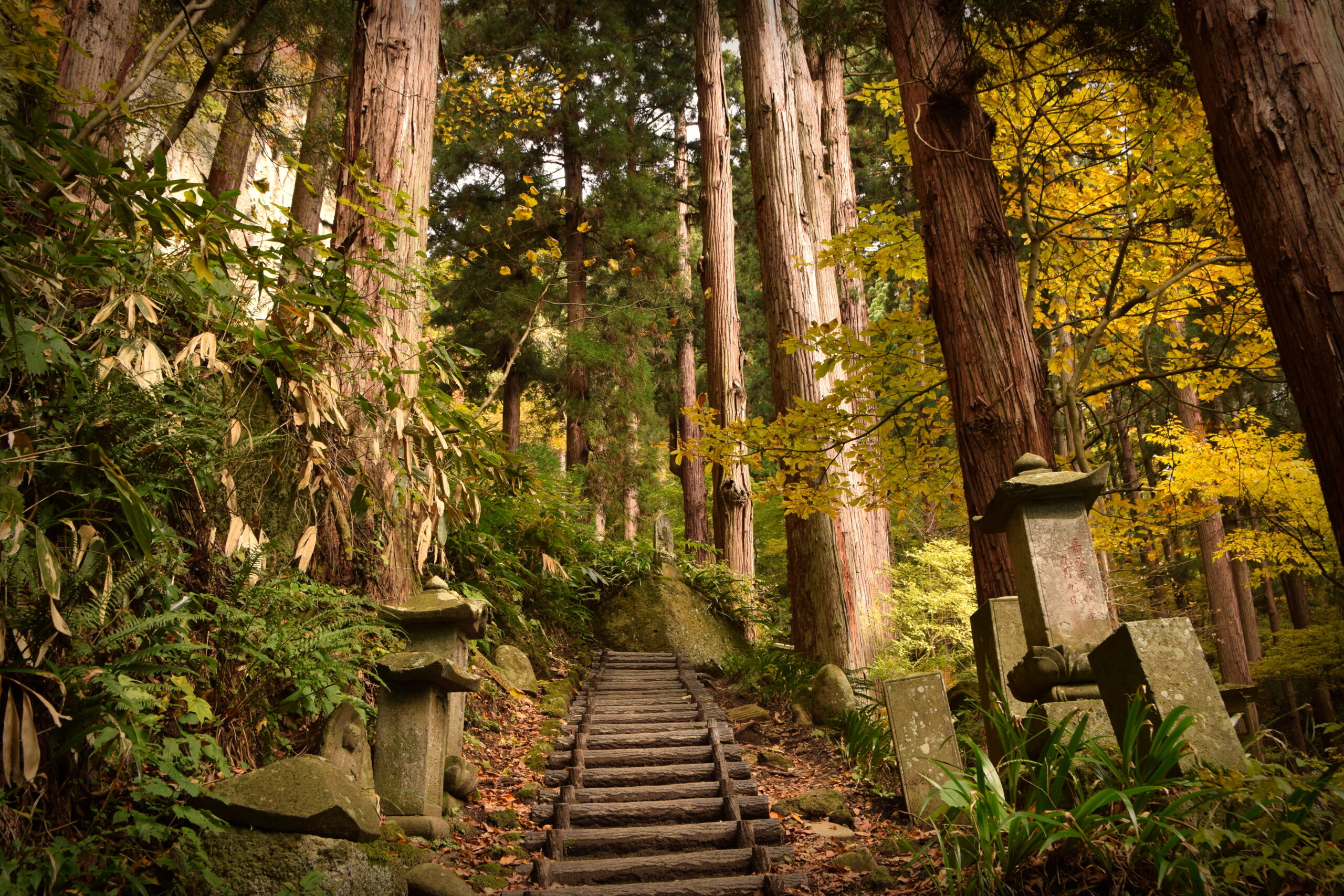 Stone stairs leading up through the ancient Yamadera temple complex in autumn