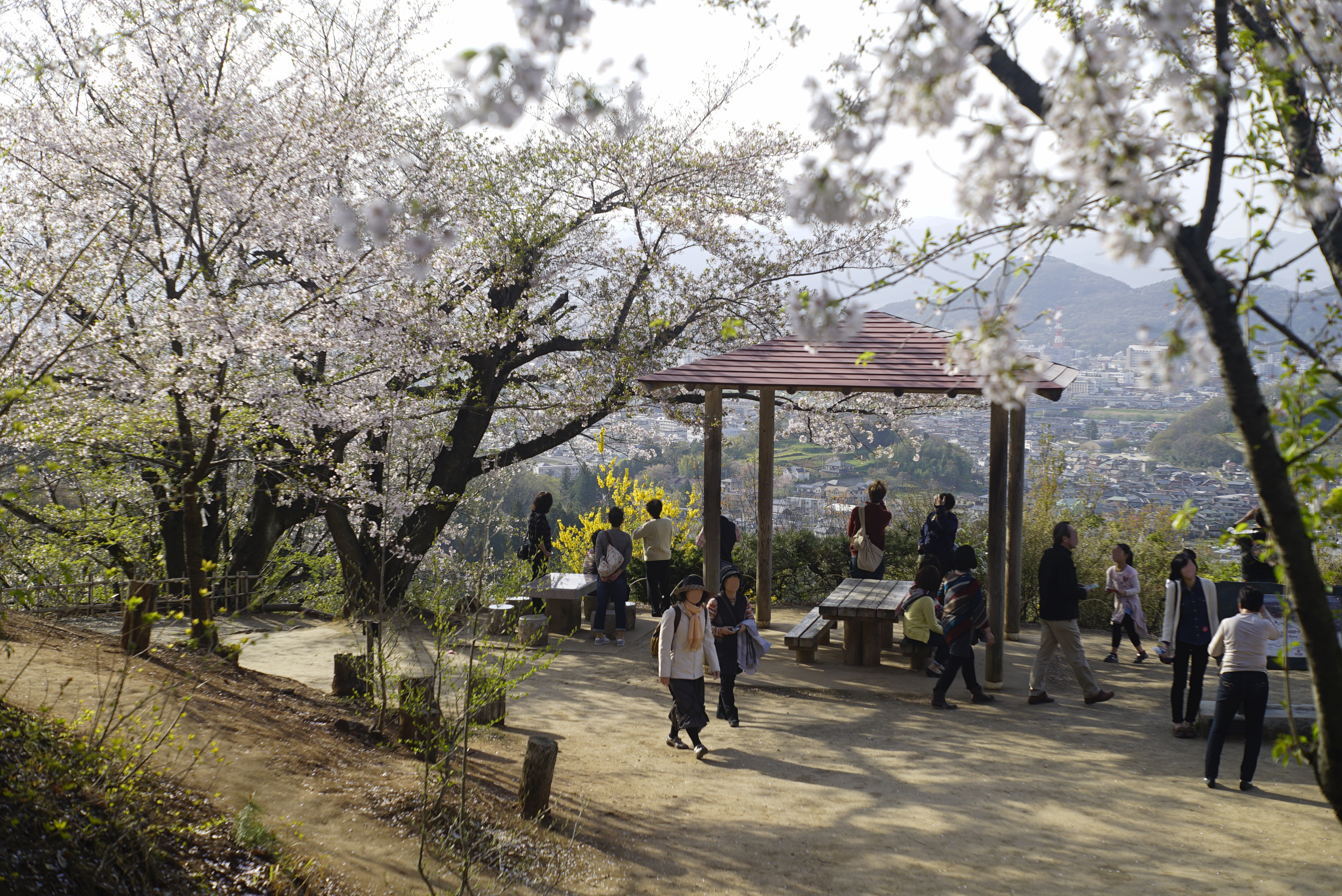 View from Hanamiyama Park summit showing the panoramic Fukushima landscape