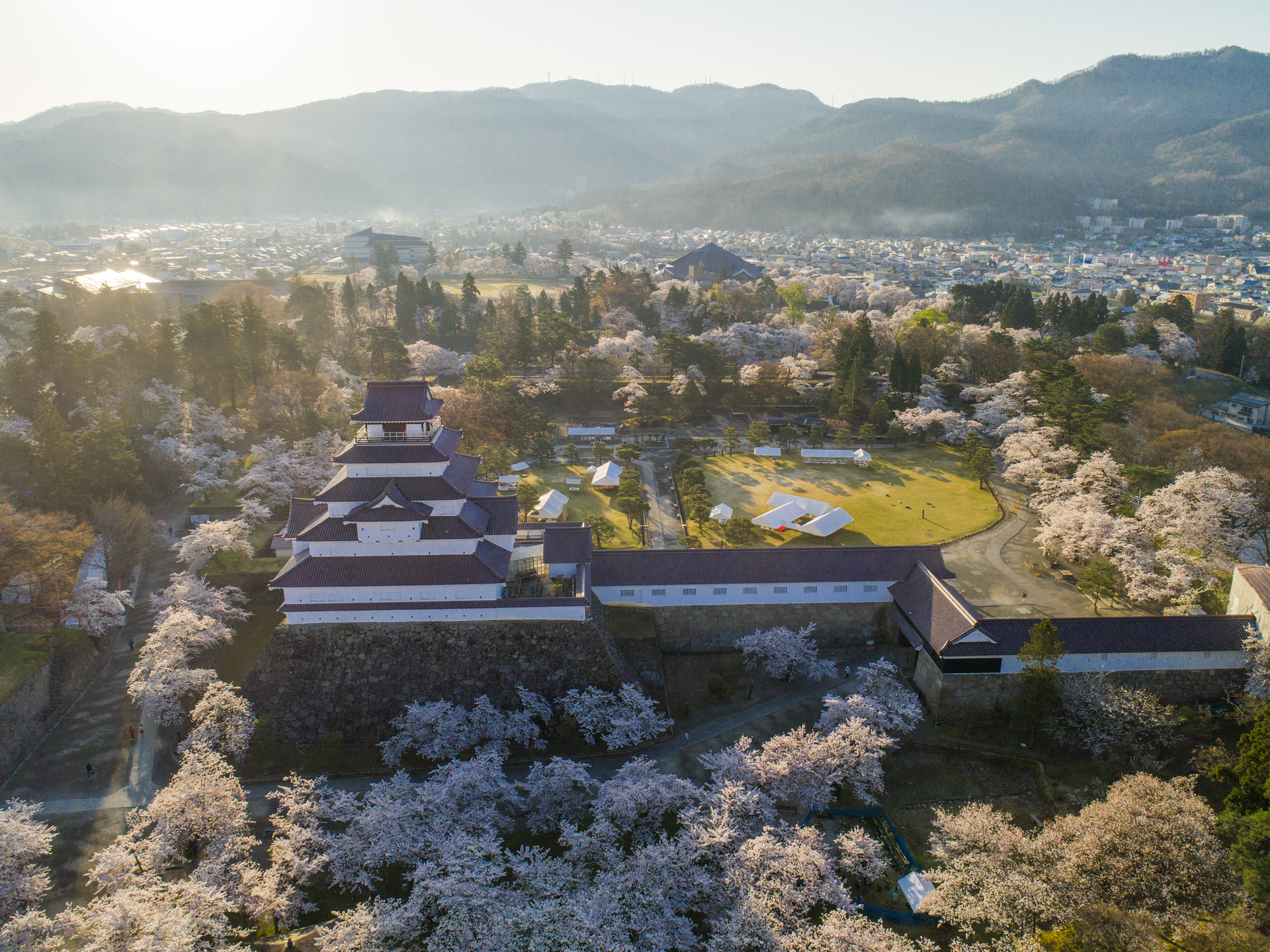 Cherry blossoms in full bloom surrounding Tsurugajo Castle in spring