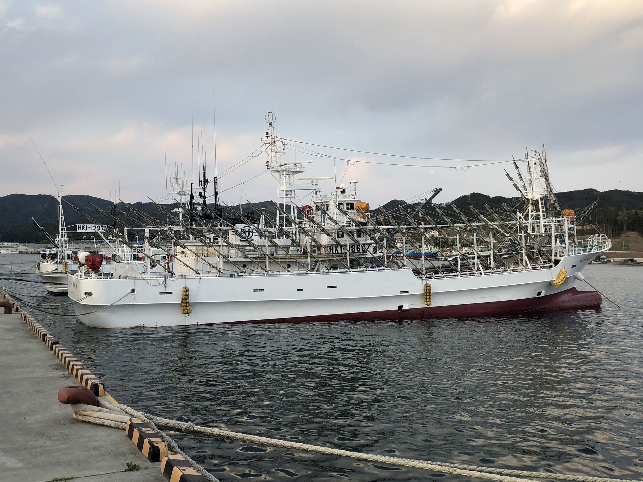 Squid fishing boats moored in Kesennuma harbour, Miyagi Prefecture