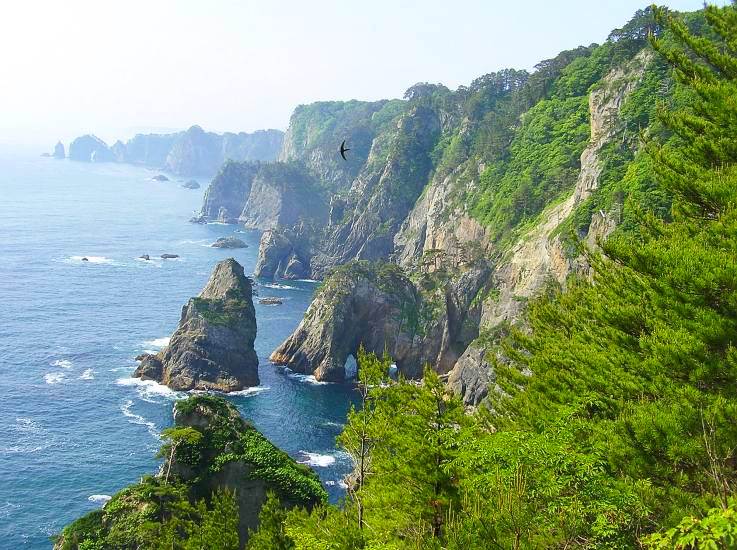 Kitayamasaki coastal cliffs detail, Sanriku coast