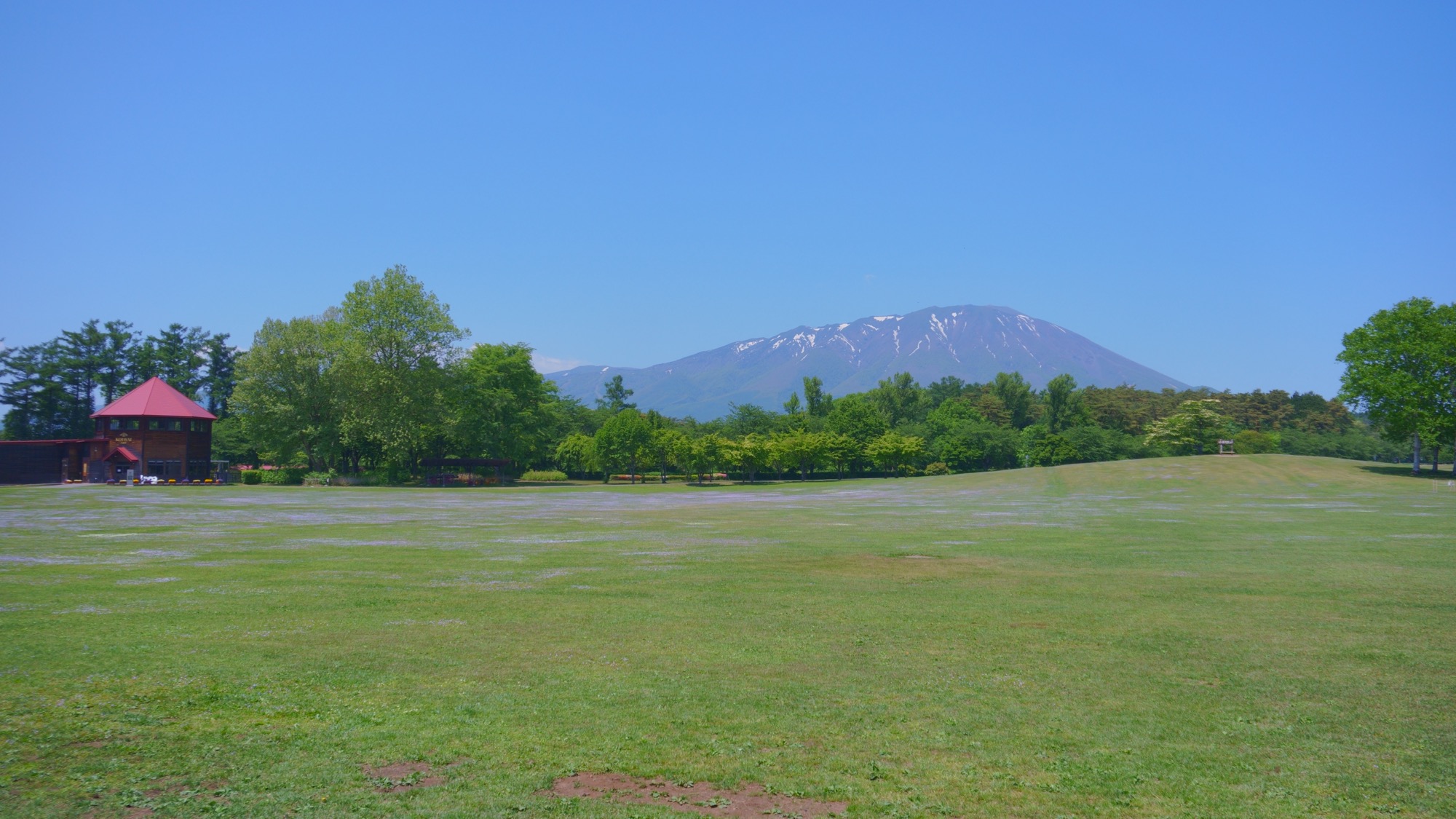 Rolling green farmland at Koiwai Farm with Mount Iwate visible in the background, Iwate Prefecture