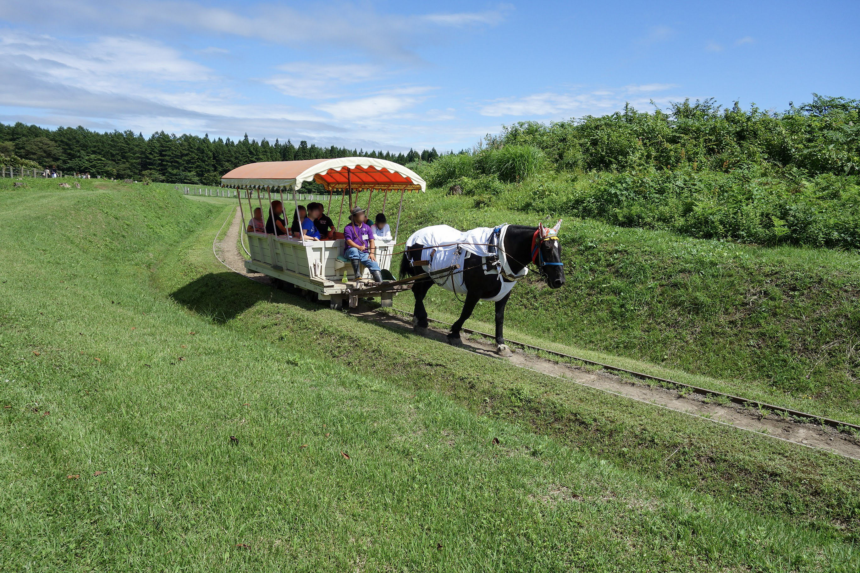 Horse-drawn trolley tour through the pastoral grounds of Koiwai Farm in Iwate Prefecture