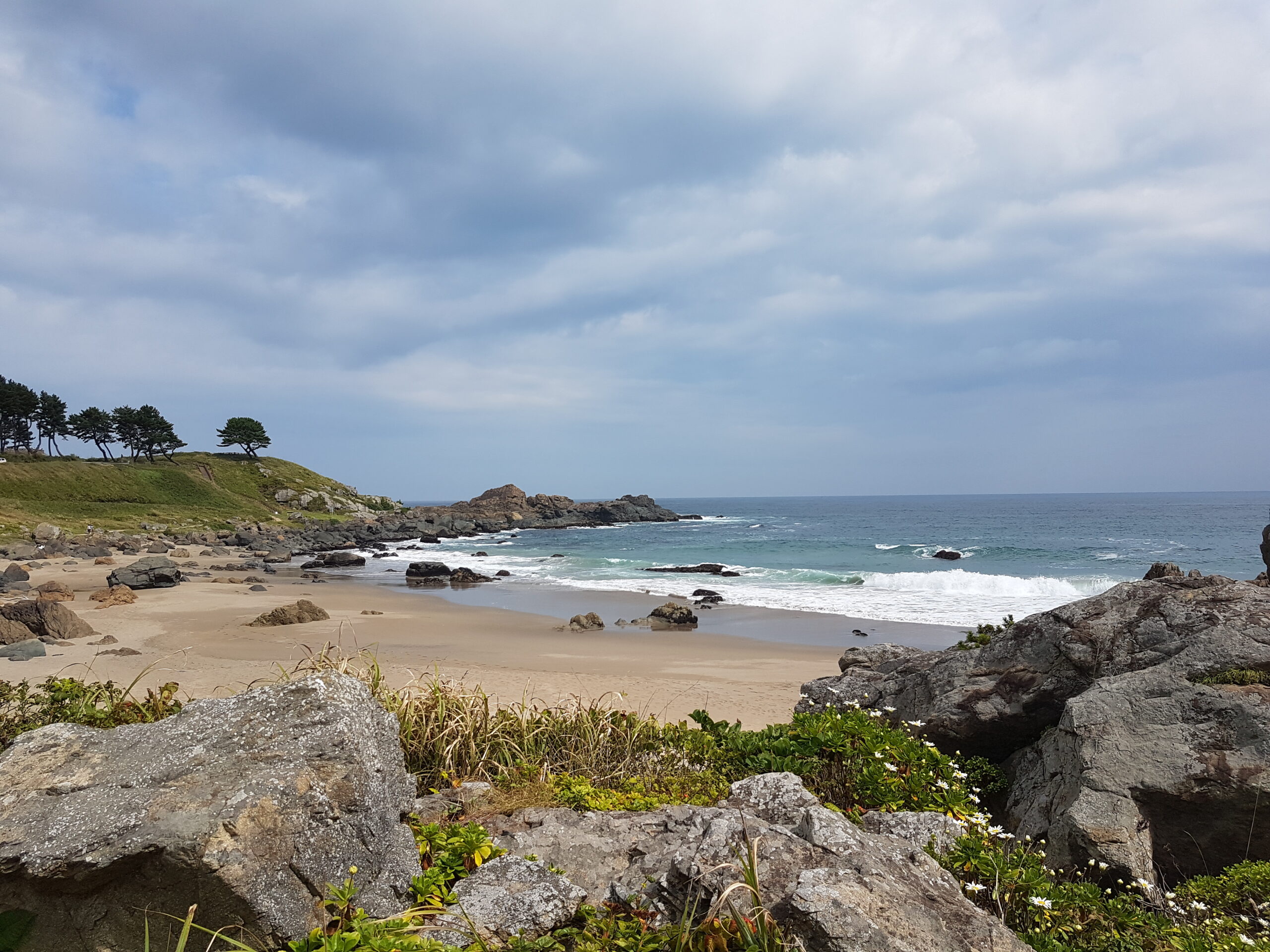 Tanesashi Coast in Aomori - natural seaside meadows meeting the Pacific Ocean