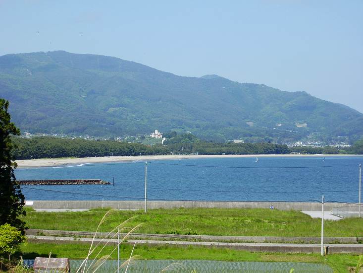 The historical Takata-Matsubara pine forest shoreline before the 2011 tsunami, showing the dense coastal tree line