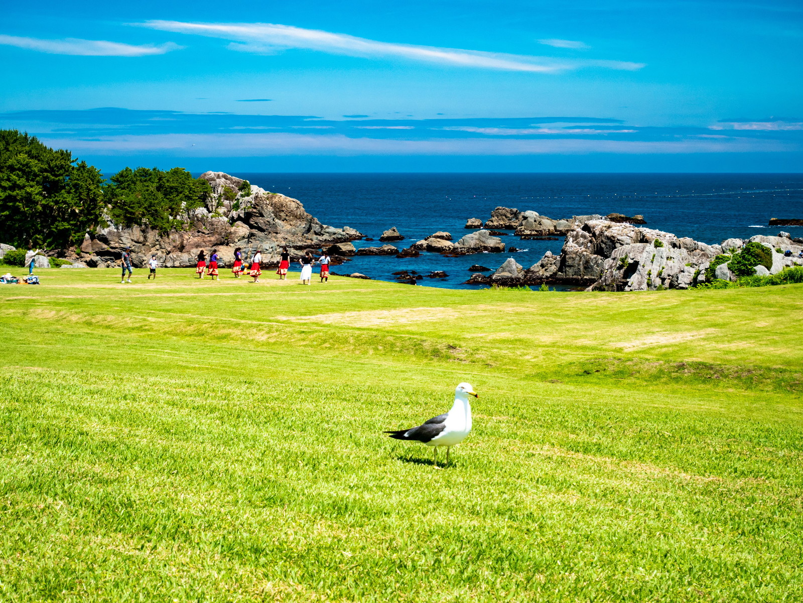 Rocky coastal cliffs and Pacific Ocean at Tanesashi Coast, Hachinohe, Aomori Prefecture, Japan