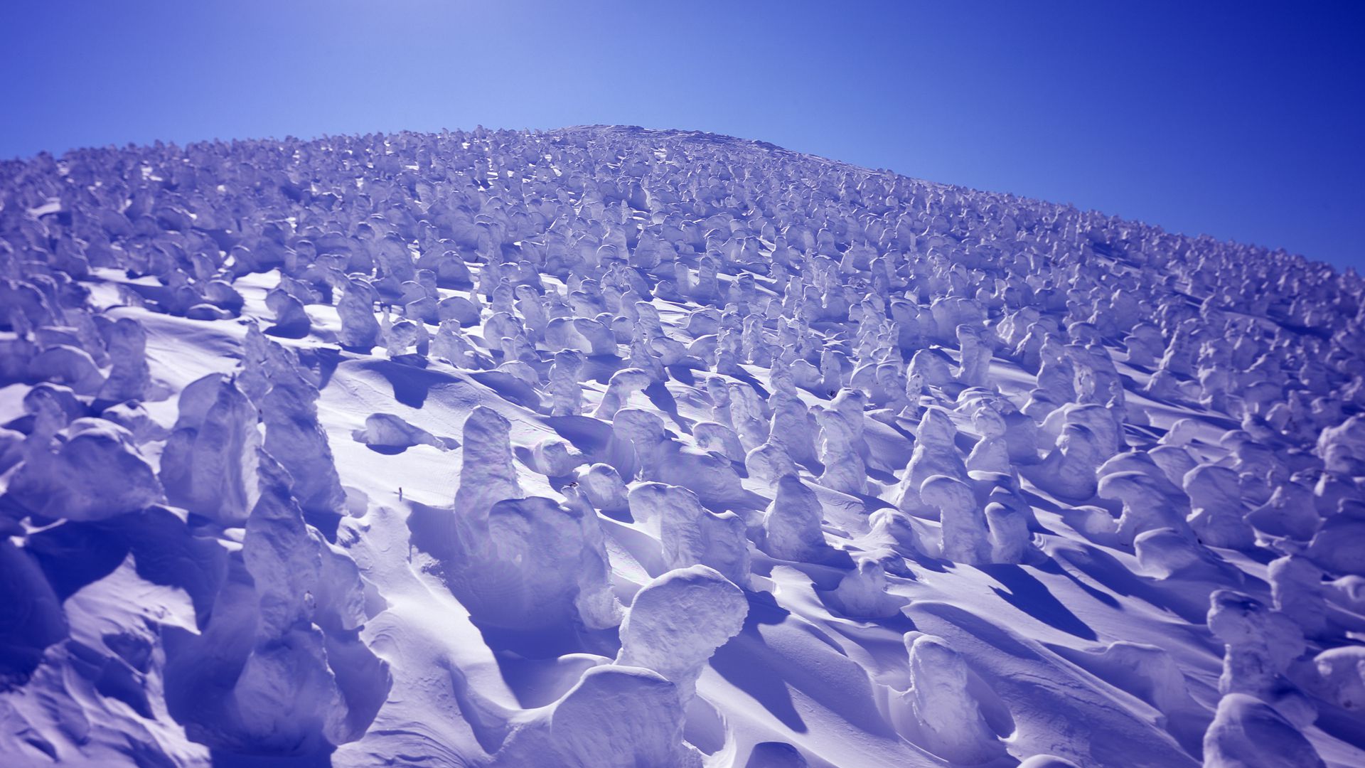 Snow monsters juhyo covered in ice and snow at Zao Onsen ski resort