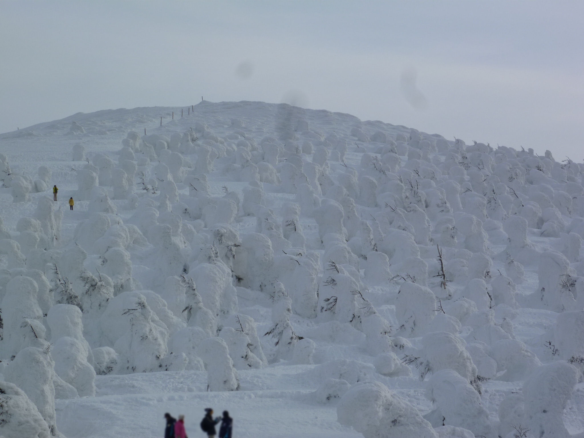 The surreal Zao Juhyo snow monster ice trees on the slopes of Zao Onsen ski resort