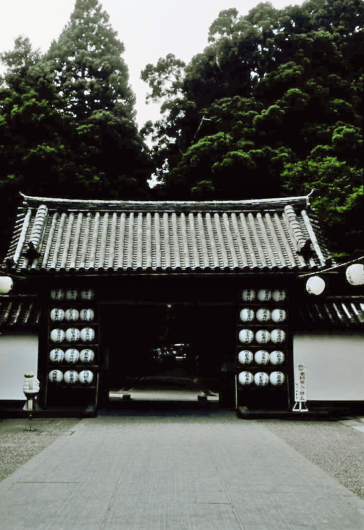 Zuiganji Temple approach with ancient cedars, Matsushima Miyagi