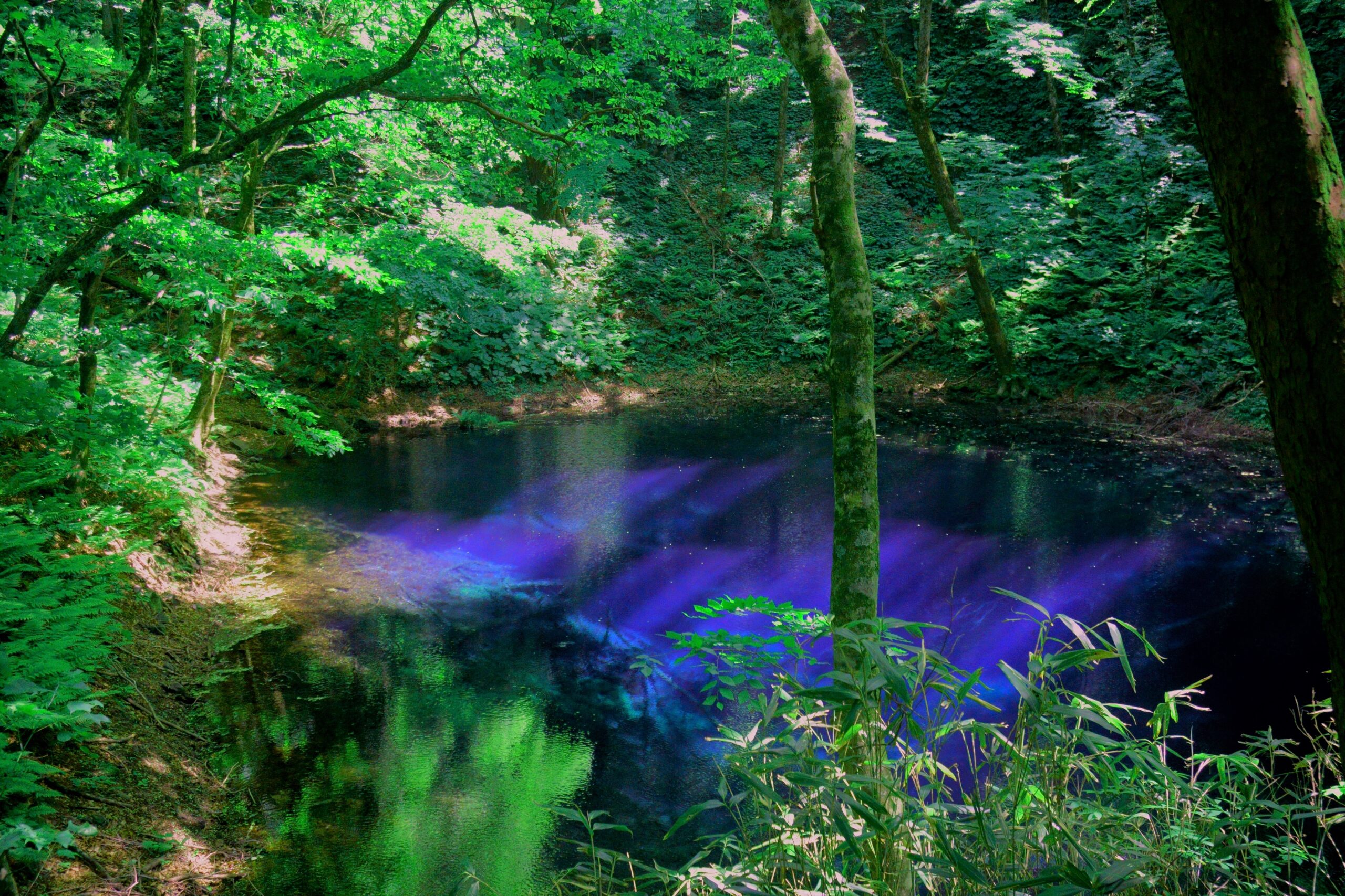 Another view of Aoike Blue Pond surrounded by beech forest in Juniko, Aomori