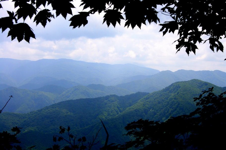 The ancient beech forest of Shirakami-Sanchi UNESCO World Heritage Site