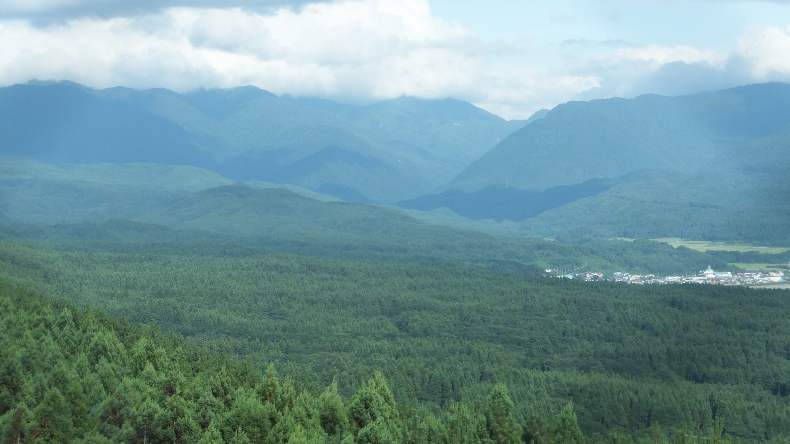 View from Shirakami Observation Tower overlooking the vast beech forest