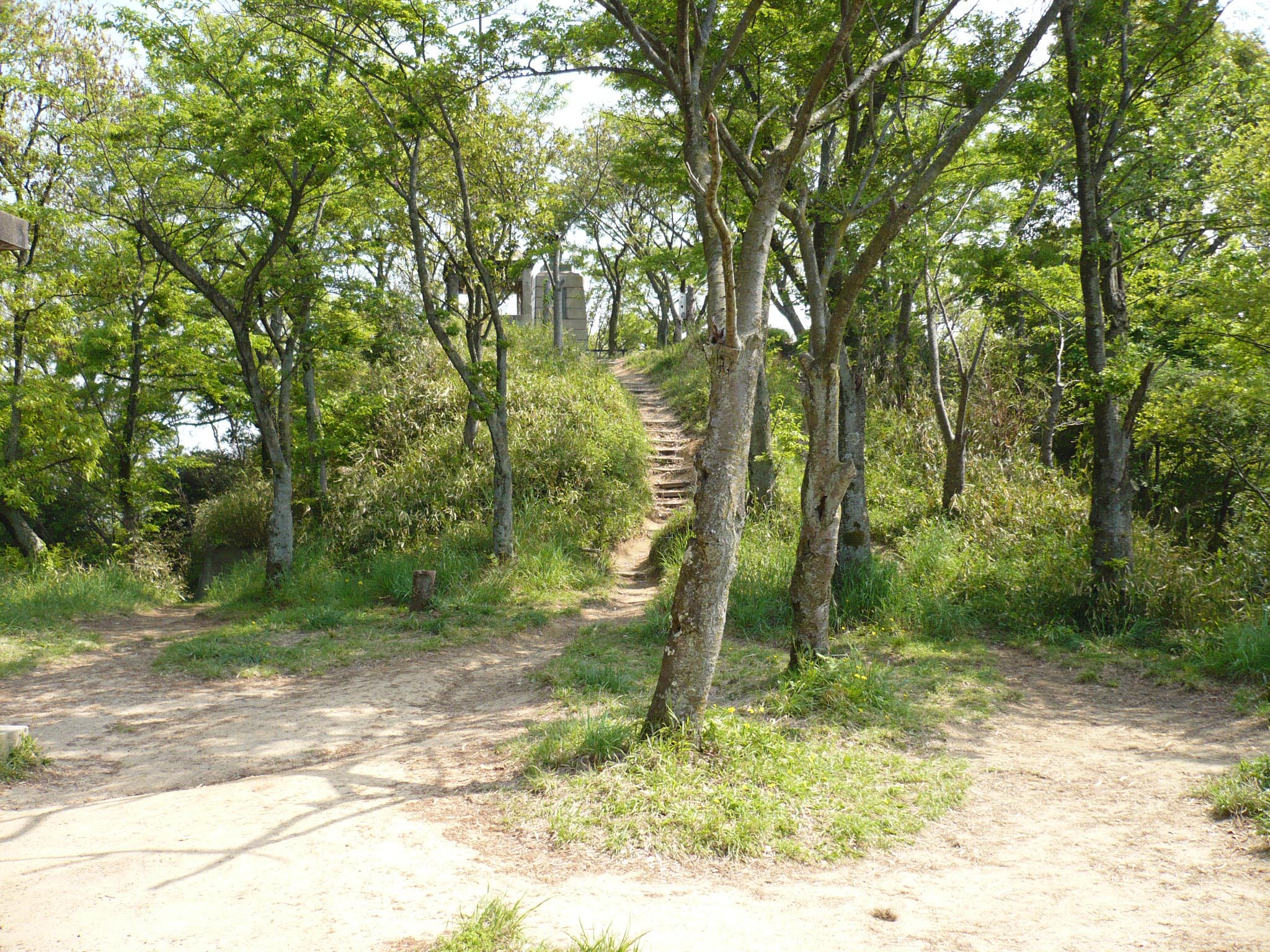 Stone steps and torii gate leading up Iimoriyama hill in Aizuwakamatsu