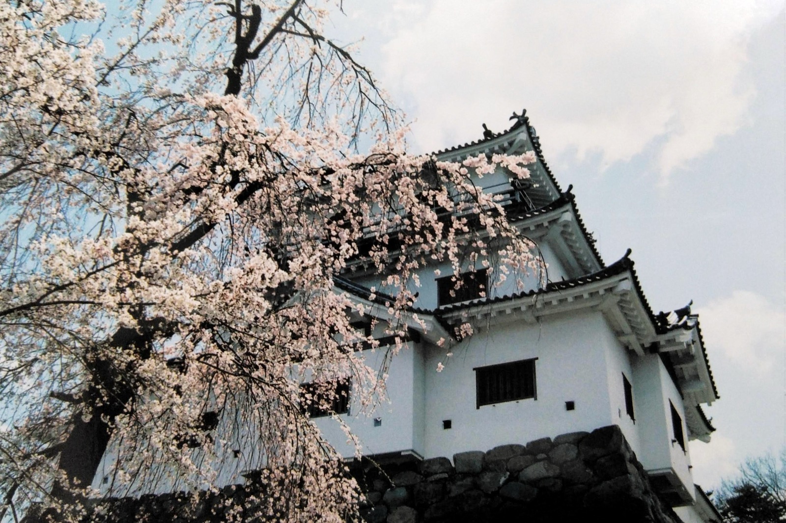 Shiroishi Castle surrounded by blooming cherry blossoms in Miyagi Prefecture
