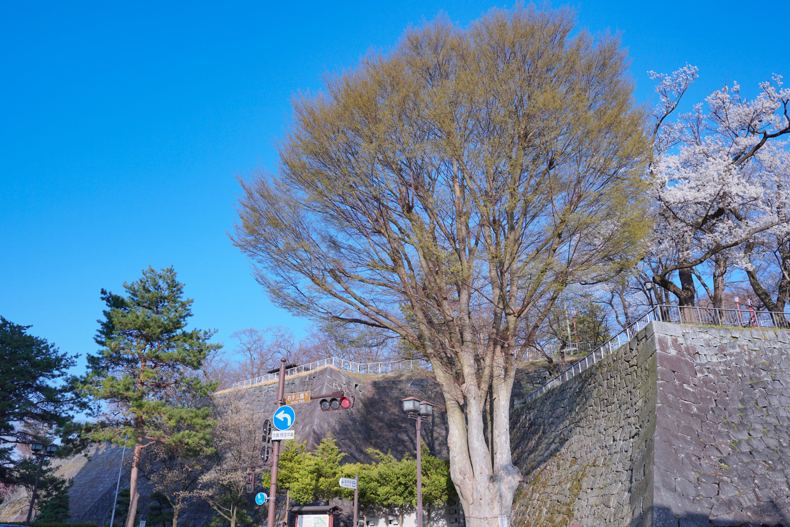 Stone walls of the former Morioka Castle in Iwate Kōen park