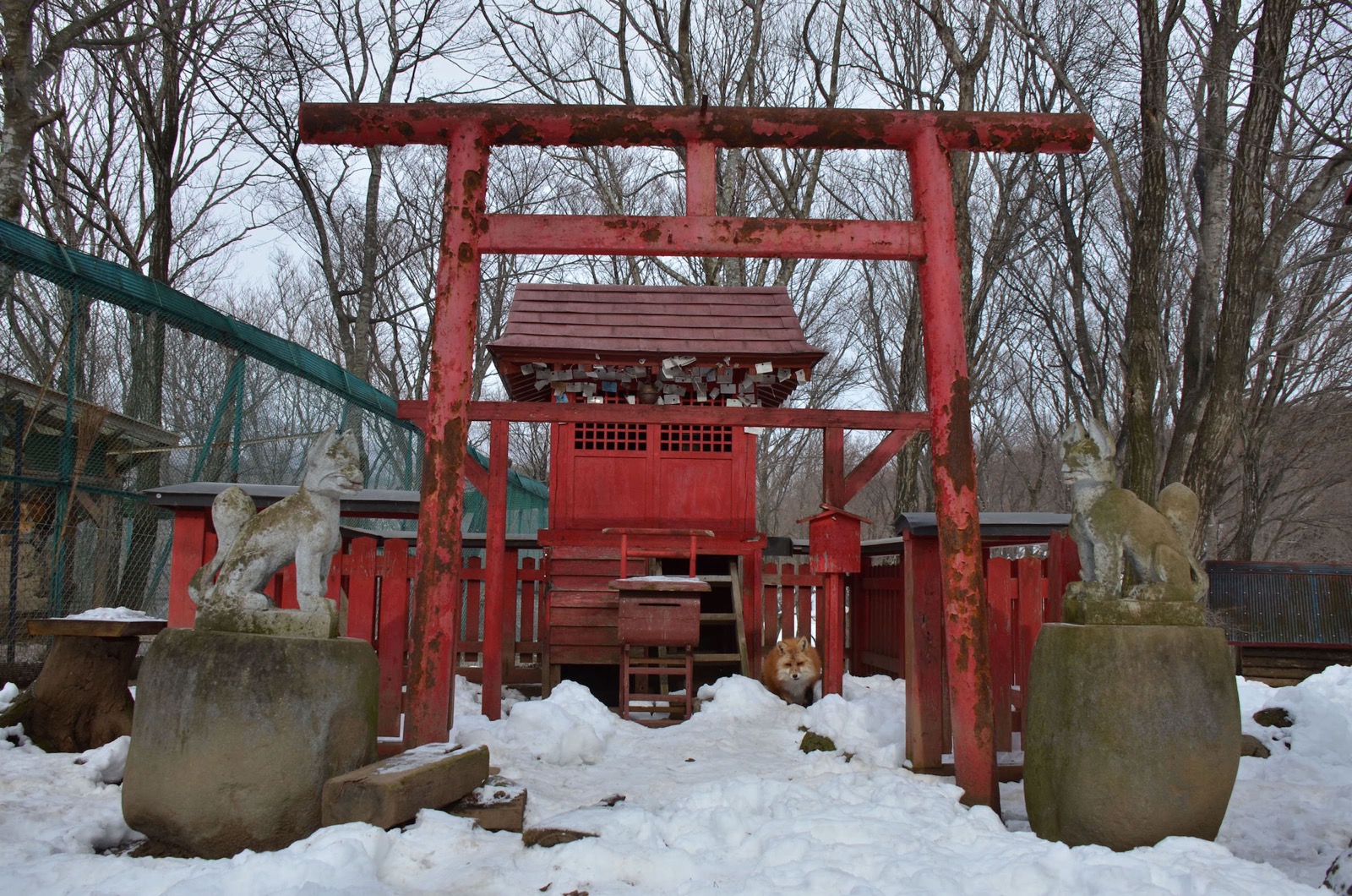 A small Inari shrine dedicated to foxes within the grounds of Zao Fox Village